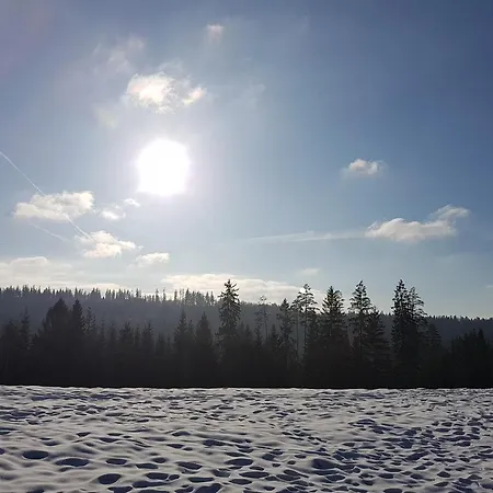 Koniakowo - Dom Pinto Koniaków