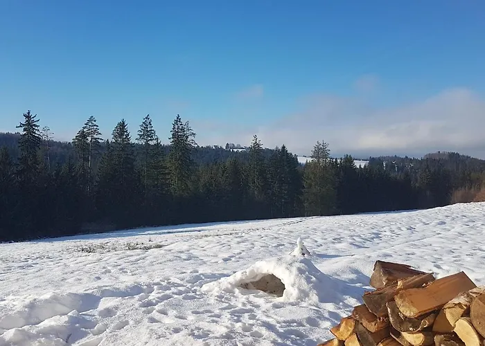 Koniakowo - Dom Pinto Vila *