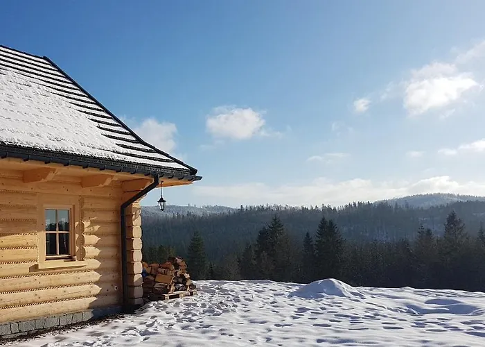 Vila Koniakowo - Dom Pinto *